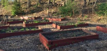 Planting Beds